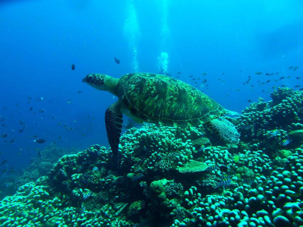 Blue Marine Resort Gili Islands Exterior photo